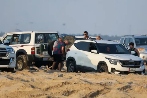 Desert Rescue Near Me